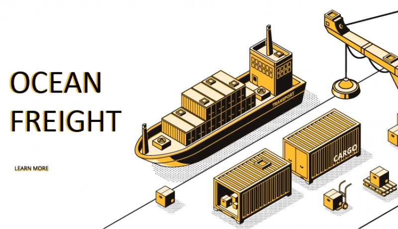 domestic-and-international-transportation-via-sea